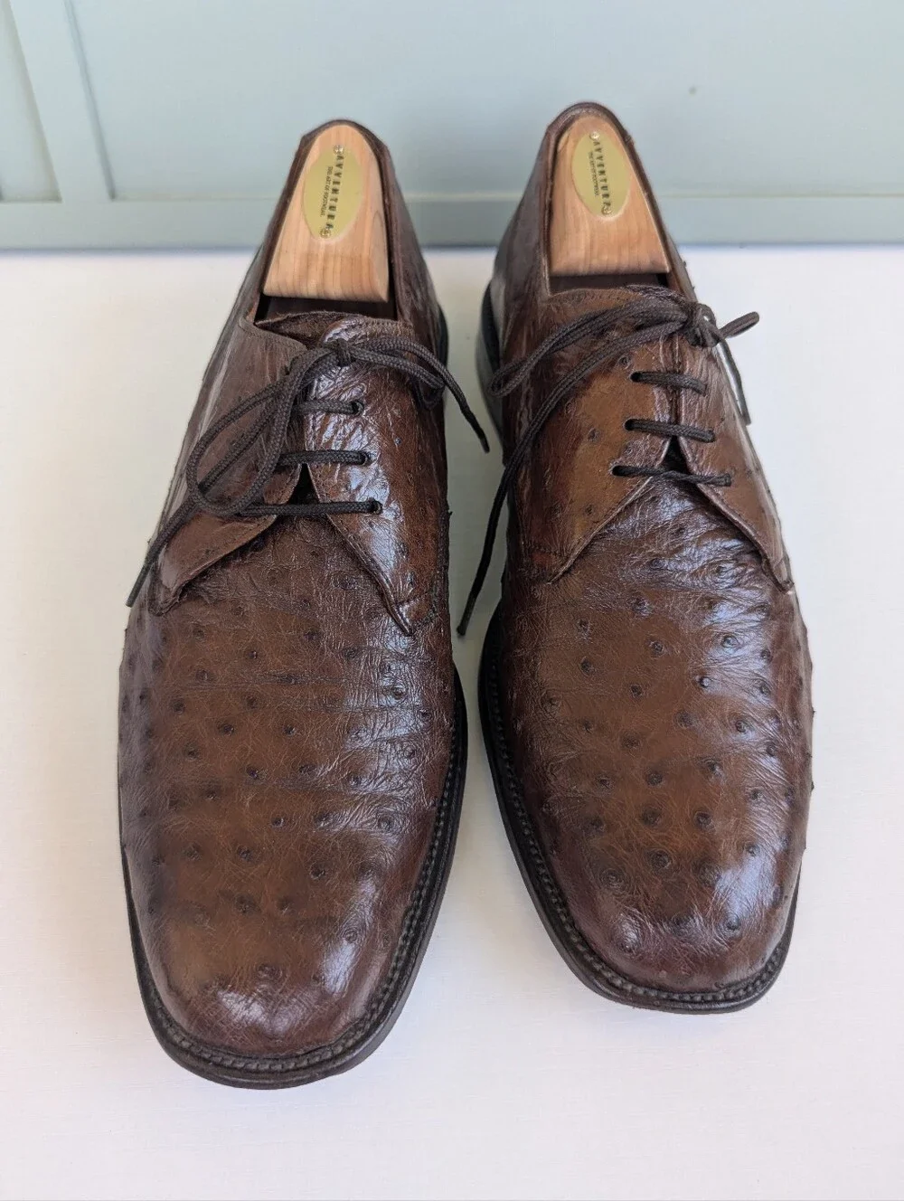 Mezlan Ostrich Men's Dark Brown Leather Derby Shoes